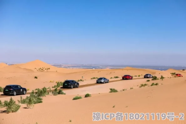 探索日韩文化交融的独特魅力：老鸦窝中的传统与现代碰撞之旅