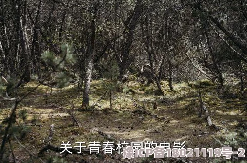 男人尻女人：探讨性别关系中的权力动态与社会文化影响，反思现代男女互动的复杂性与挑战